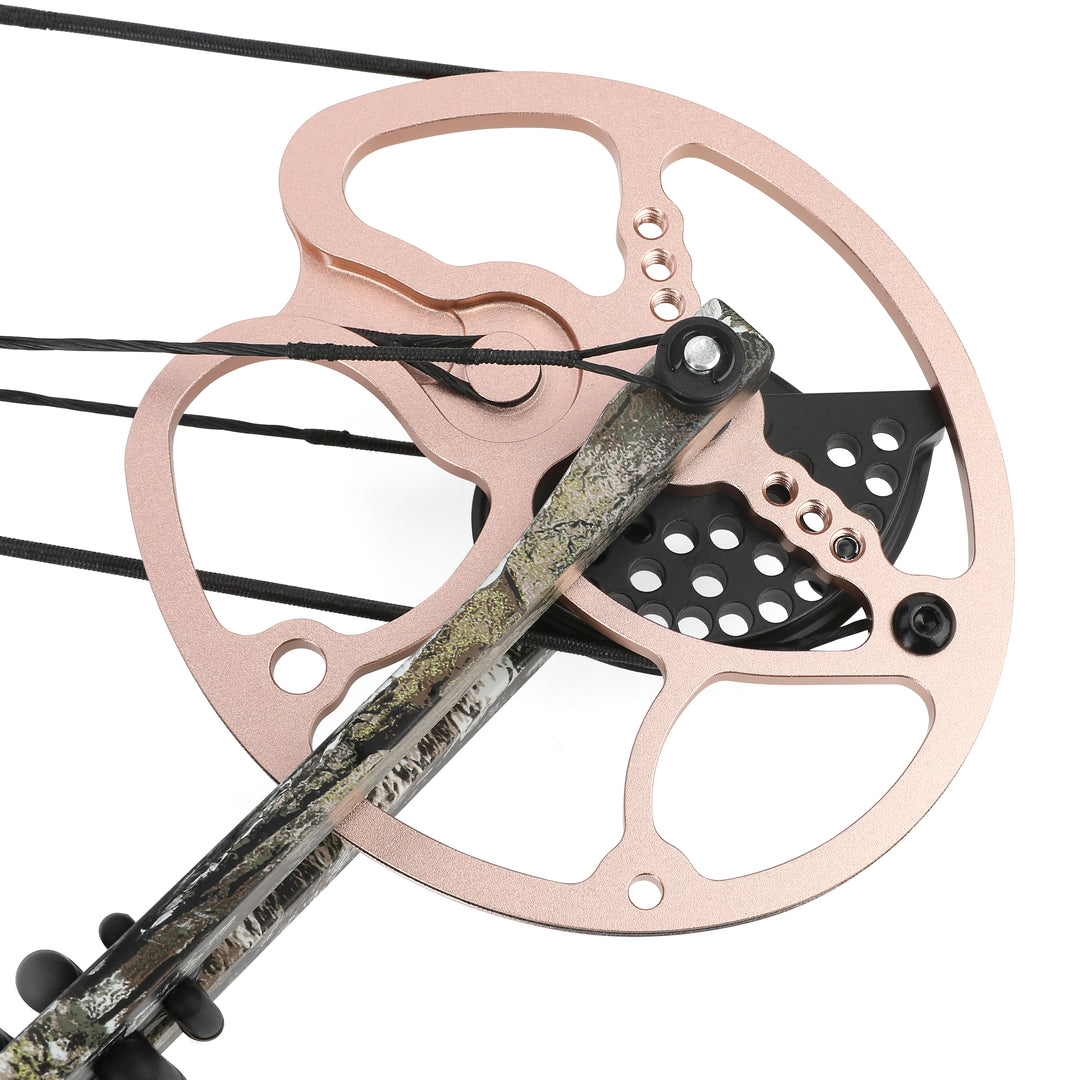 🎯M193 Hunting Compound Bow 0-70 lbs Hunting Practice Target