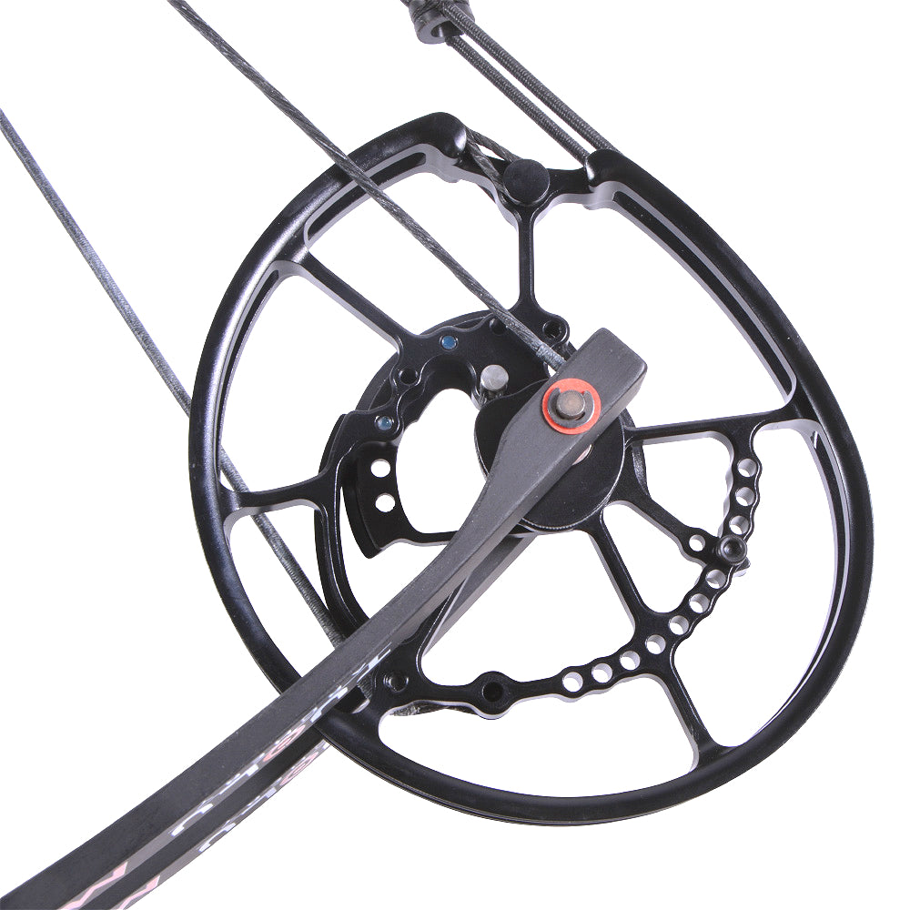 🎯Compound Bow Steel Ball Archery Arrows Hunting