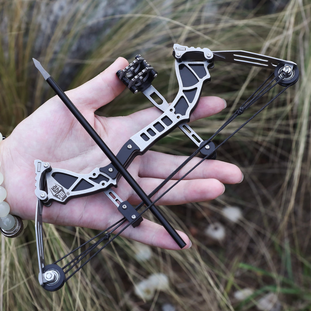 🎯Mini Compound Bow Set Hunting Archery  Recreation Toy, 12 Arrows
