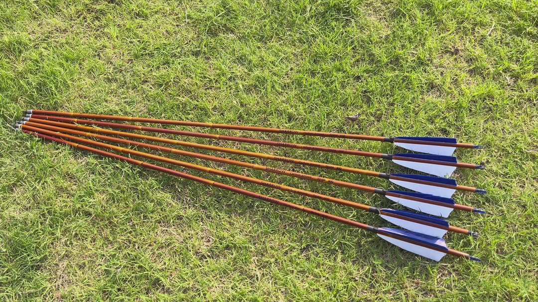 🎯Carbon Arrows 30" SP500 Turkey Feathers Points Archery Bow