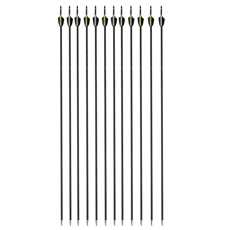 🎯12pcs Spine 900 Carbon Arrow Archery Completion Arrow Practice