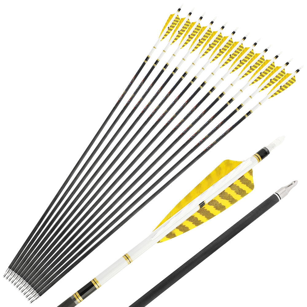 🎯 12pcs Spine 250-600 Archery Pure Carbon Arrows