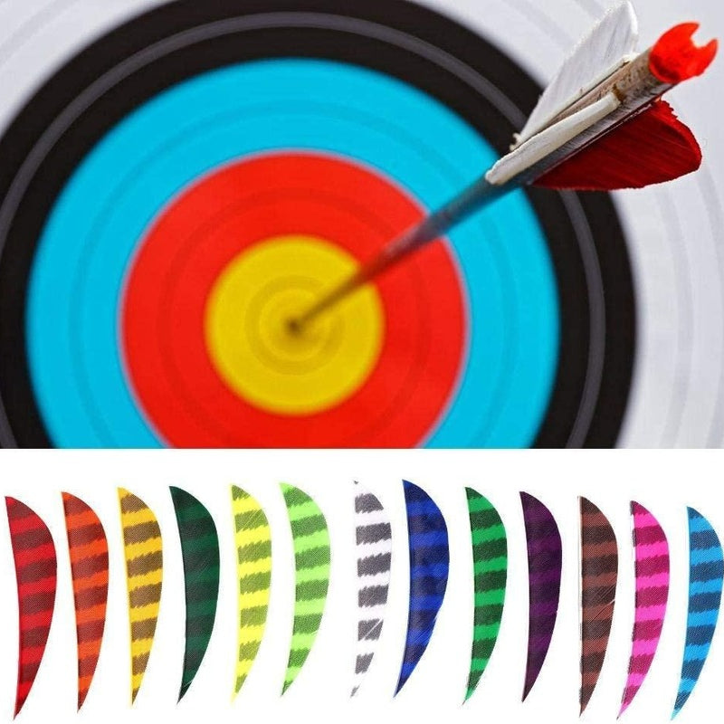 🎯2'' Archery Feather Arrow Turkey Fletching Practice Target Arrows